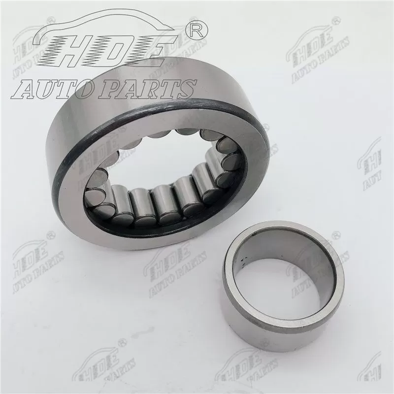 05NU0618 Cylindrical Roller Bearing