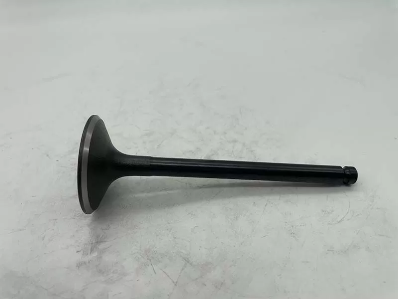 8970287020 8-97028-702-0 Intake Valve for Isuzu 4bd1 4bd2