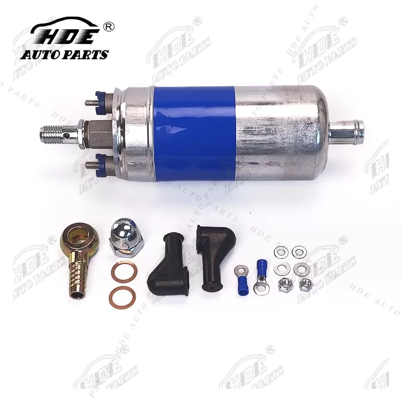 0580254910 Fuel Pump for Benz Audi Ford